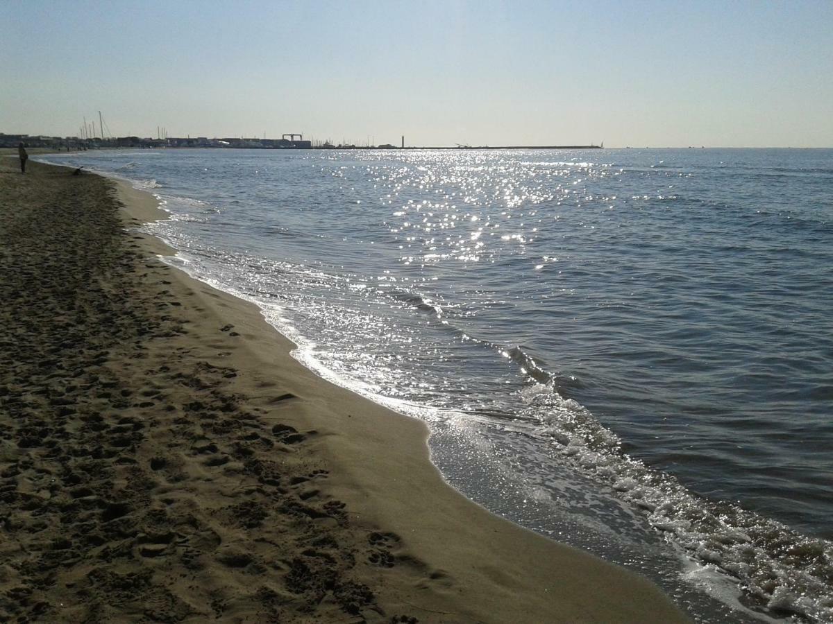 La Pineta Apartment Viareggio Kültér fotó